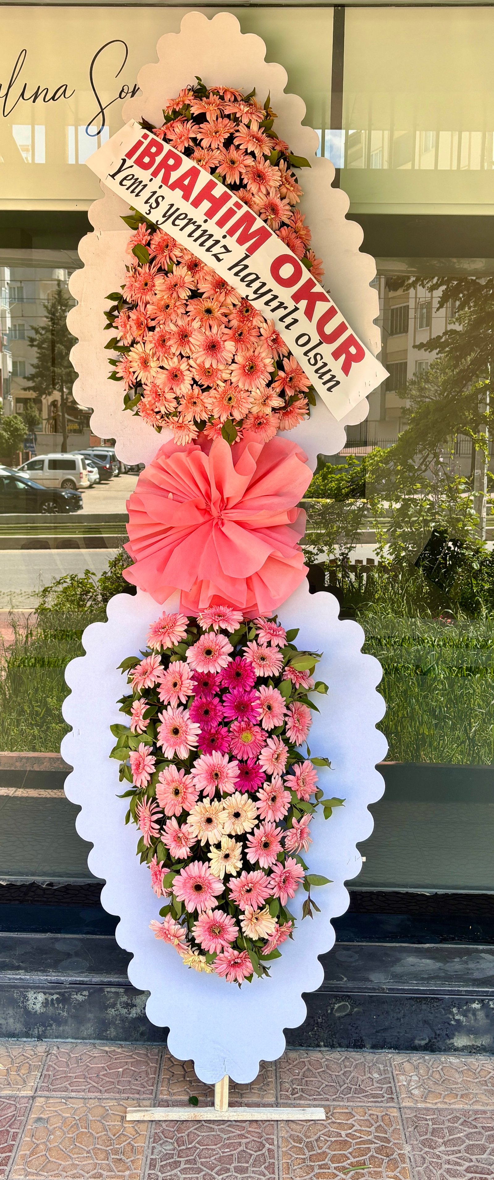 Pembe canlı